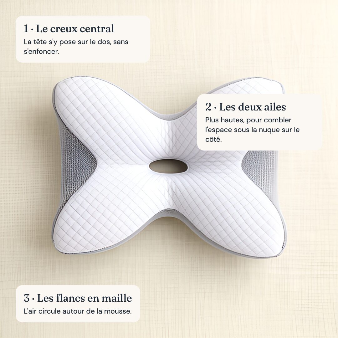 Les trois zones : creux central, deux ailes, flancs en maille